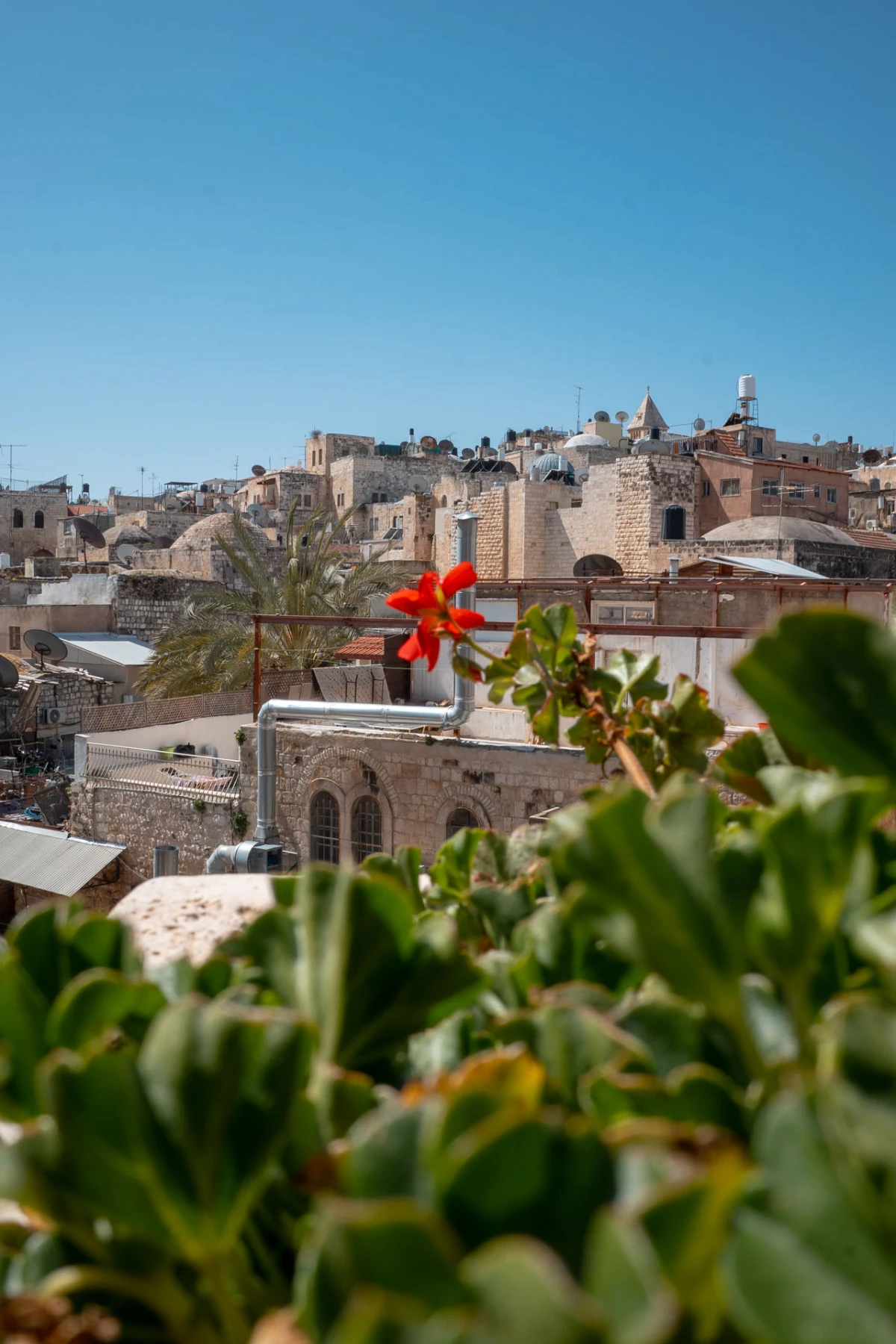Die Altstadt von Jerusalem bringt den Autor an die Grenze zur Überforderung, was man alles gesehen haben muss.